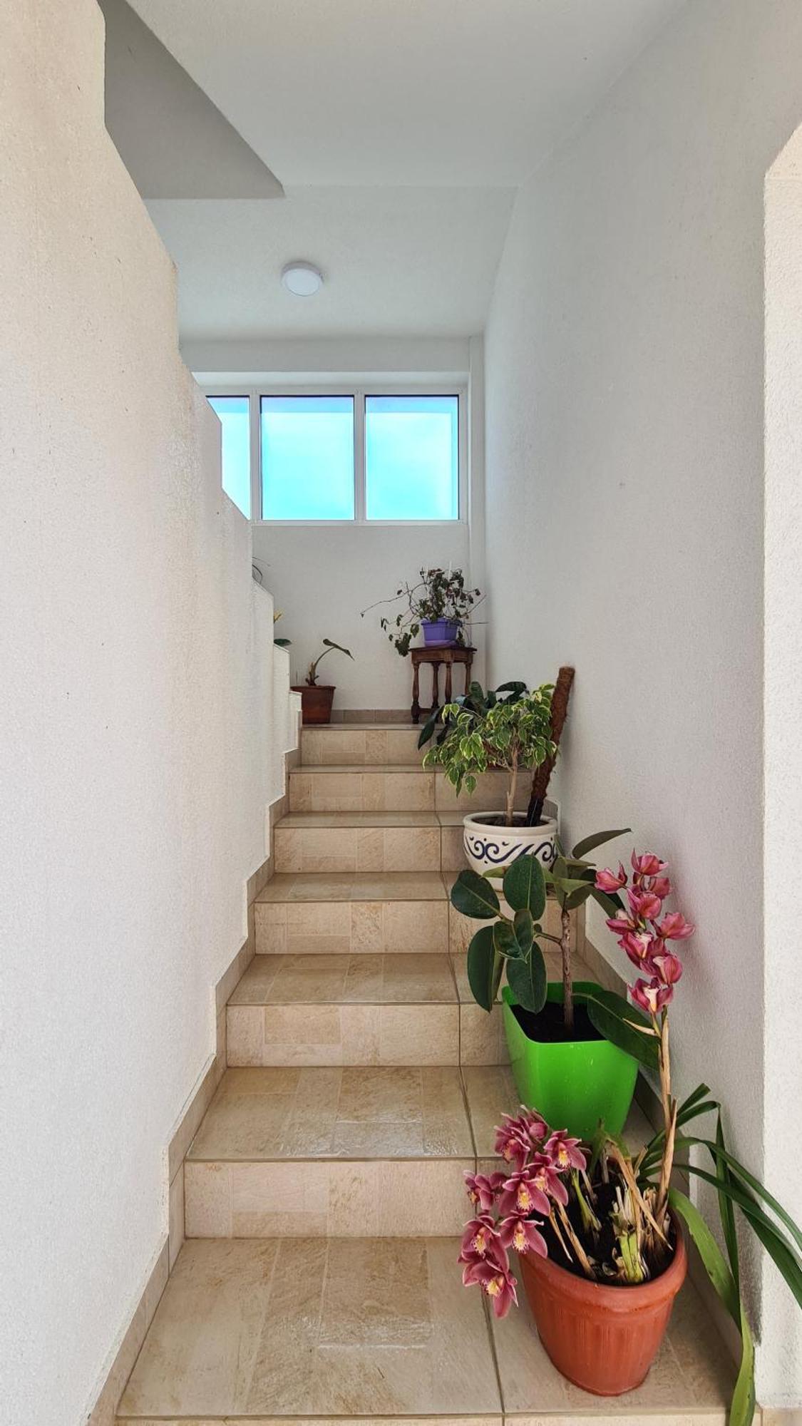 Apartments Mare Ulcinj Exterior photo